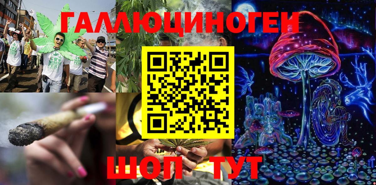 Псилоцибиновые грибы Cubensis Красноармейск